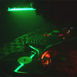 ACIDSEKTOR