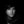 GARY BECK